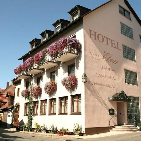 Hotel Ebner Bad Königshofen im Grabfeld Buitenkant foto